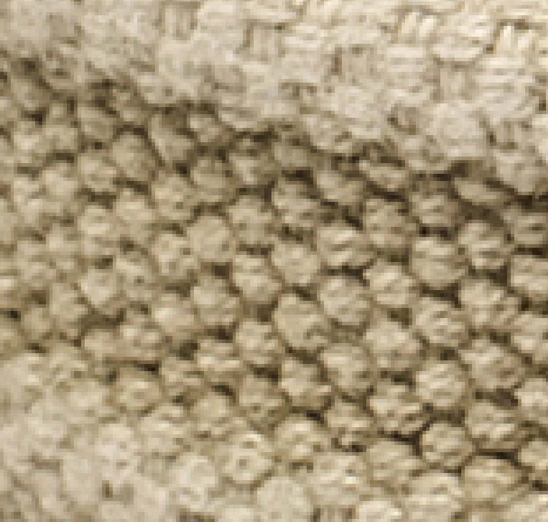 Brentwoods Washed Canvas Belt - Image 4