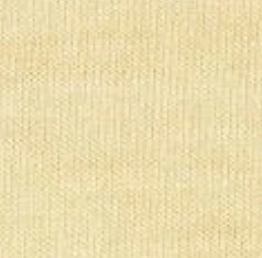 Dale Cotton Blend T-Shirt - Image 9