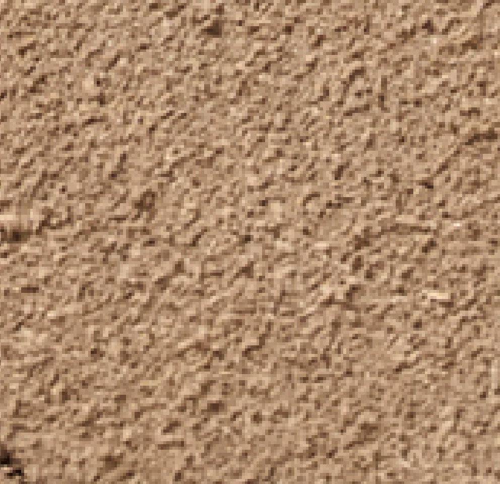 O-Ring Suede Belt - Image 4