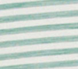 Carolinas Golf Association Performance Featherweight Polo - Seymour Stripe - Image 4