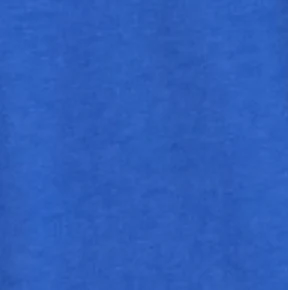 UCLA Heathered Spencer Cotton T-Shirt - Image 6
