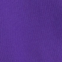 Women's James Madison Penny Crewneck Sweatshirt - Image 9