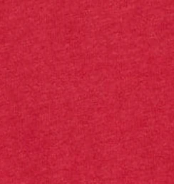 Women's University of Arkansas Merediths V-Neck T-Shirt - Vault Logo - Image 4